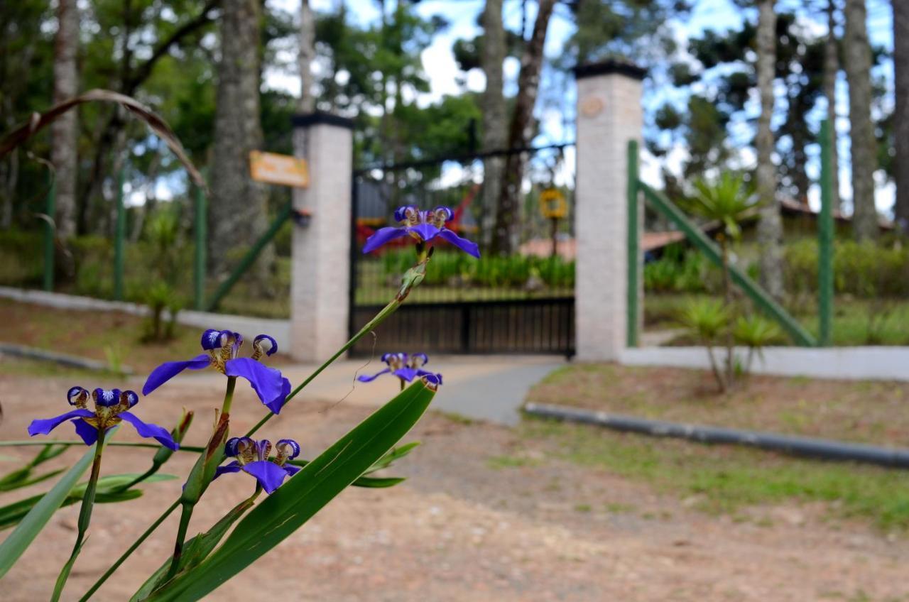 Pousada Paraiso Das Araucarias Hotell Monte Verde  Eksteriør bilde