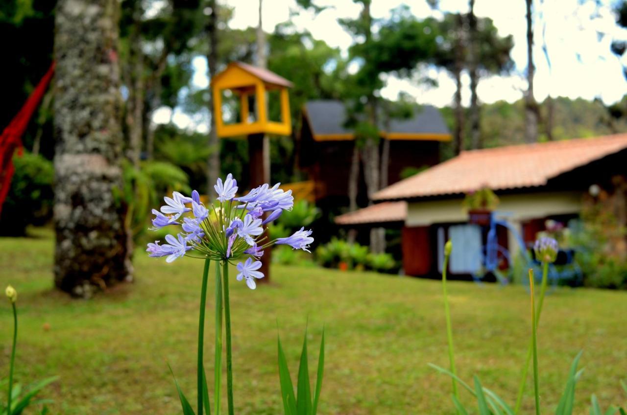 Pousada Paraiso Das Araucarias Hotell Monte Verde  Eksteriør bilde