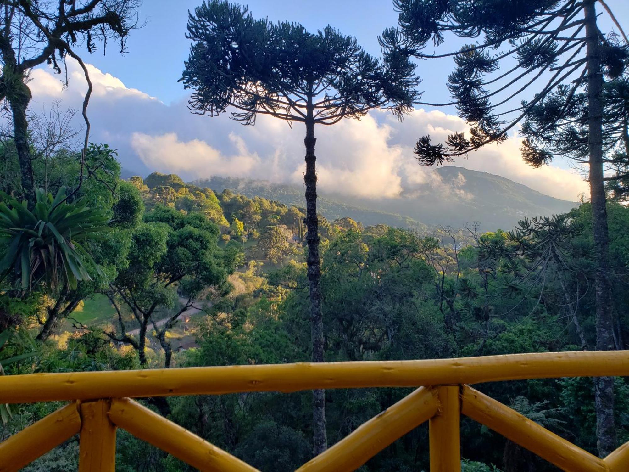 Pousada Paraiso Das Araucarias Hotell Monte Verde  Eksteriør bilde